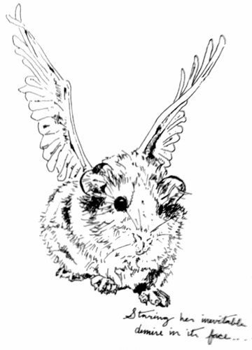 illustration